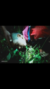 Screenshot_2021-07-22-09-44-22-40